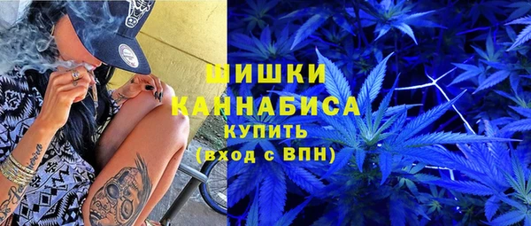гидра Алапаевск