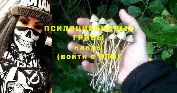 бошки Алексеевка