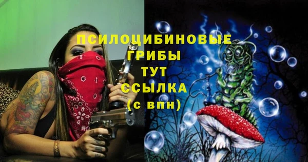 бошки Алексеевка