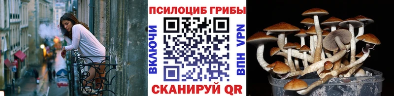 Галлюциногенные грибы мицелий  hydra онион  Балашов 
